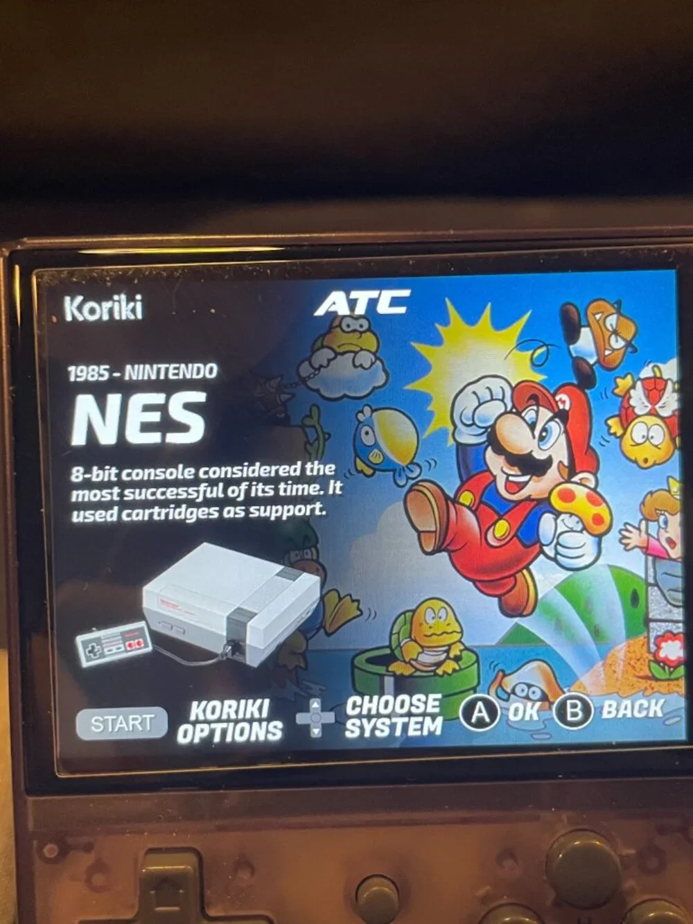 Ambernic Handheld Customized Koriki OS With Accessories
